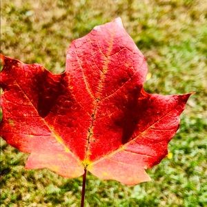 Meet your Posher, Houa